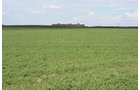 Property photo 21 - LAND AUCTION, 3255+/- Acres offered in 13 Tracts